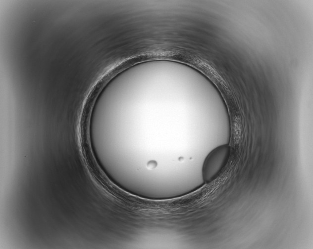 X0000094320726200711021112