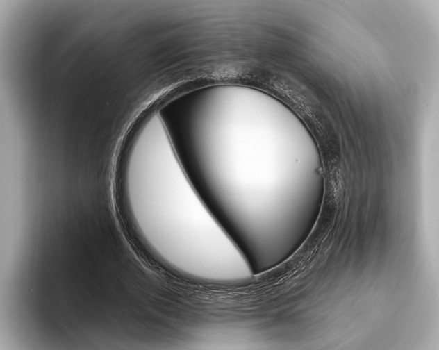 X0000094320728200711021112