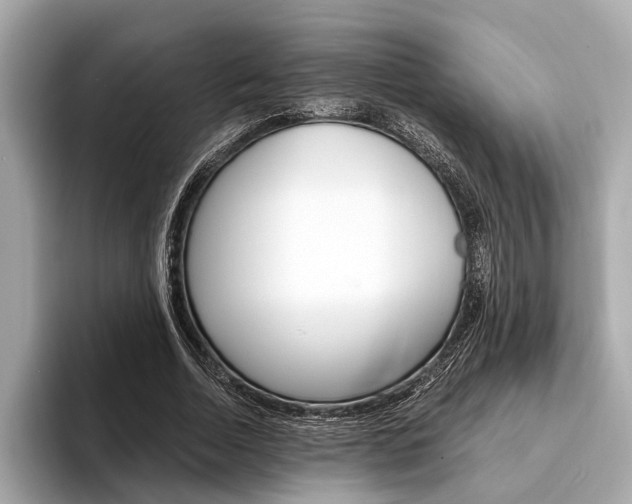 X0000094320730200711021112