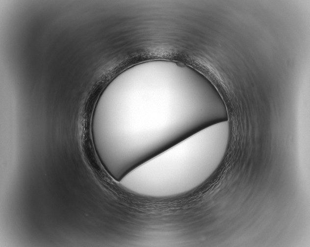 X0000094320736200711021112