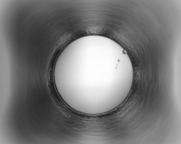 X0000094320738200711021112