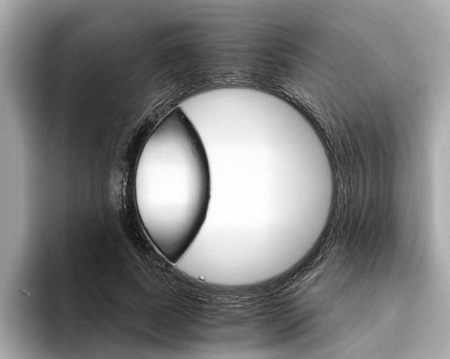 X0000094320739200711021112