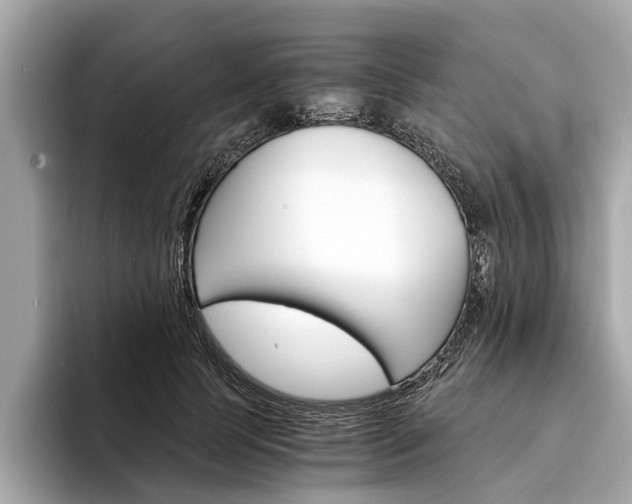 X0000094320745200711021112