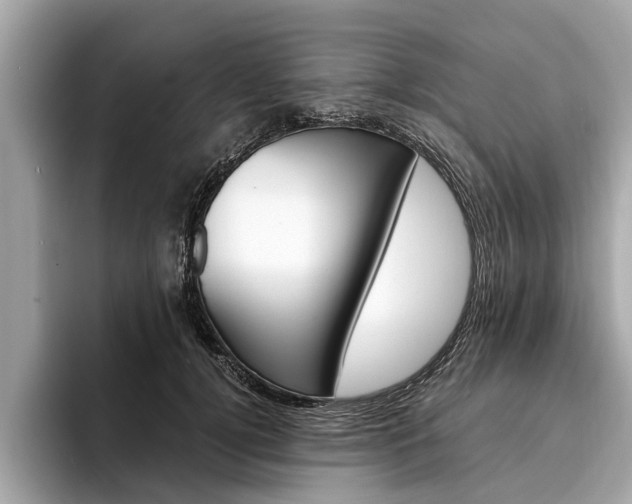 X0000094320752200711021112
