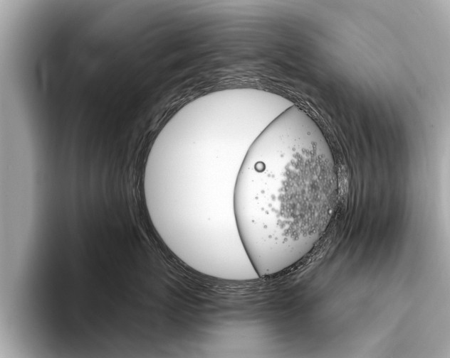 X0000094320767200711021113