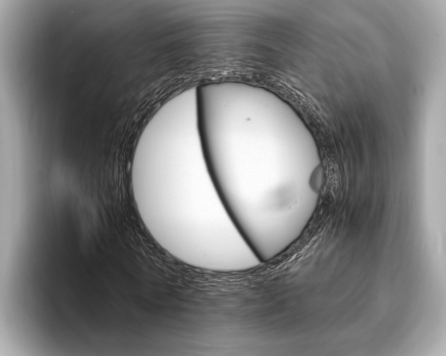 X0000094320770200711021112