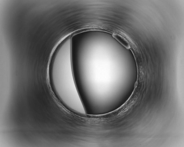 X0000094320788200711021112