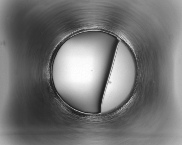 X0000094320789200711021112