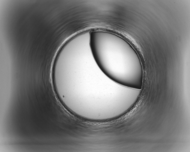X0000094320791200711021112