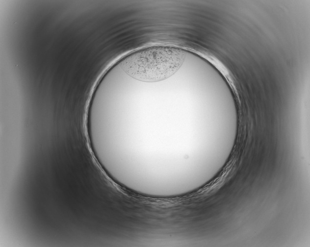 X0000094320807200711021112