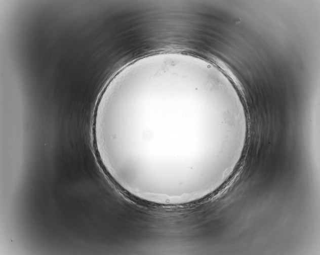 X0000094320810200711021112