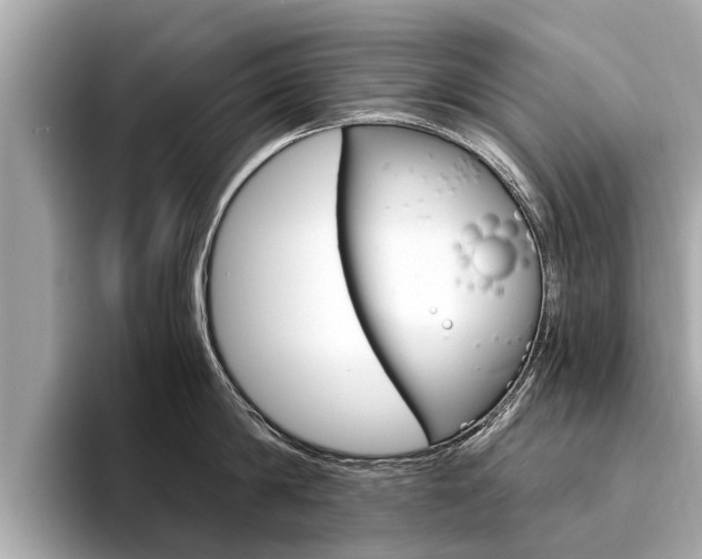 X0000094320814200711021112