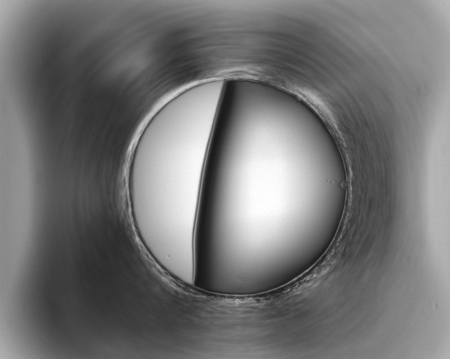 X0000094320816200711021111