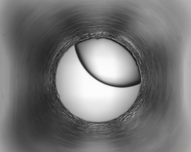 X0000094320823200711021111
