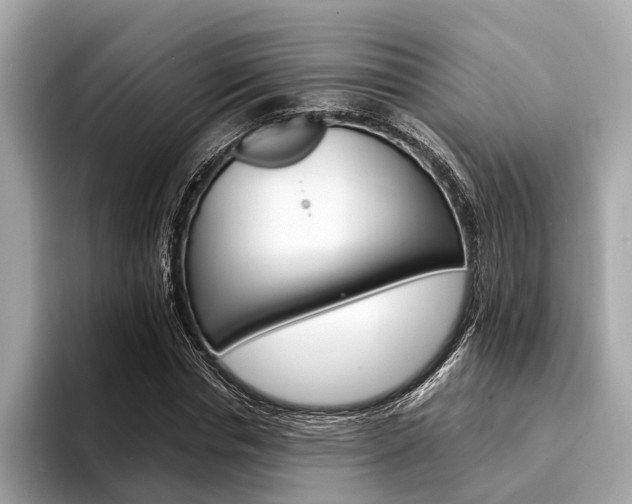 X0000094320826200711021111