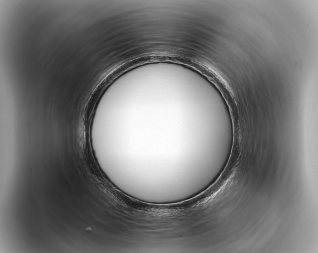 X0000094320829200711021111