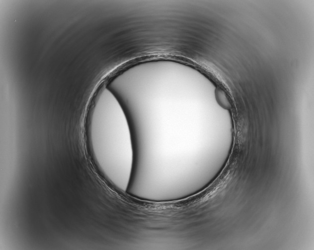 X0000094320831200711021111