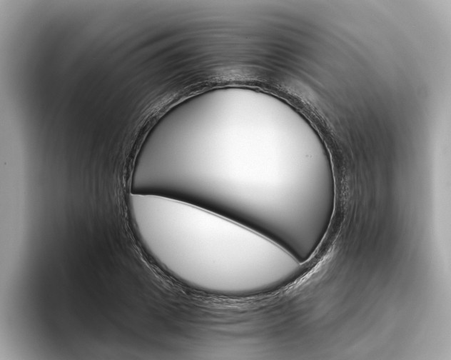 X0000094320833200711021111