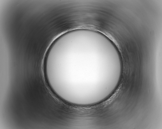 X0000094320838200711021111