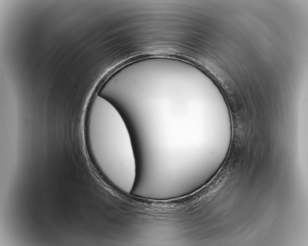 X0000094320840200711021111