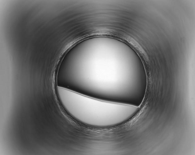 X0000094320842200711021111