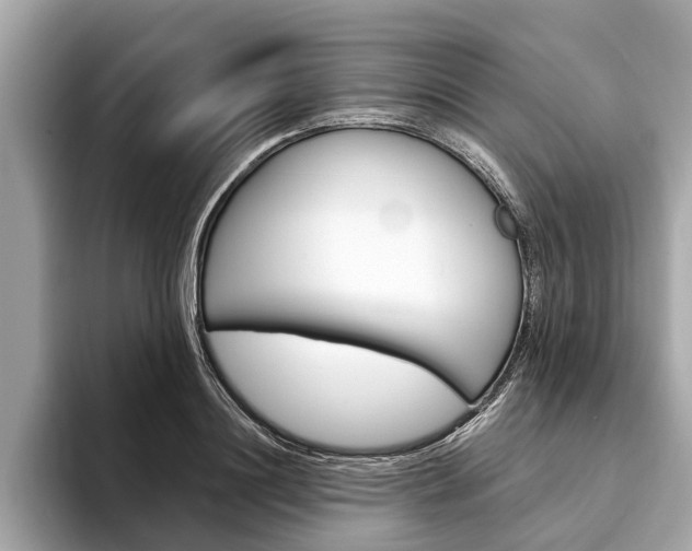 X0000094320844200711021111
