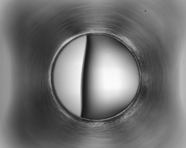 X0000094320846200711021111
