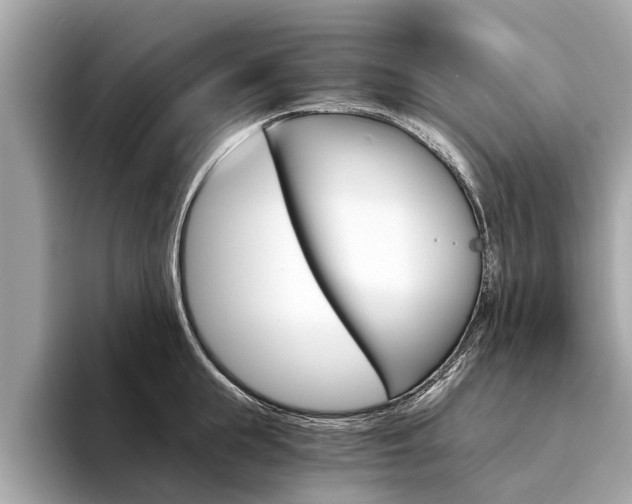 X0000094320855200711021111