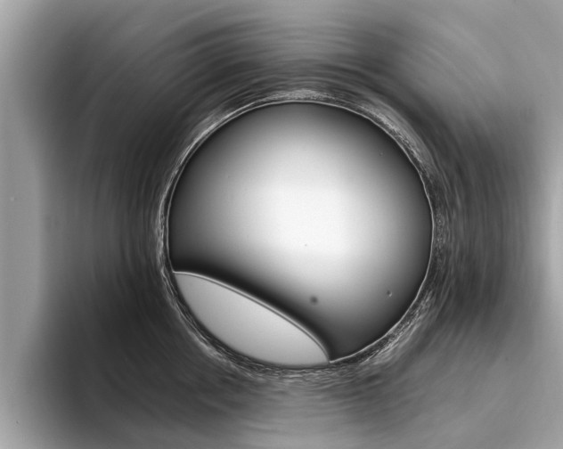 X0000094320858200711021111