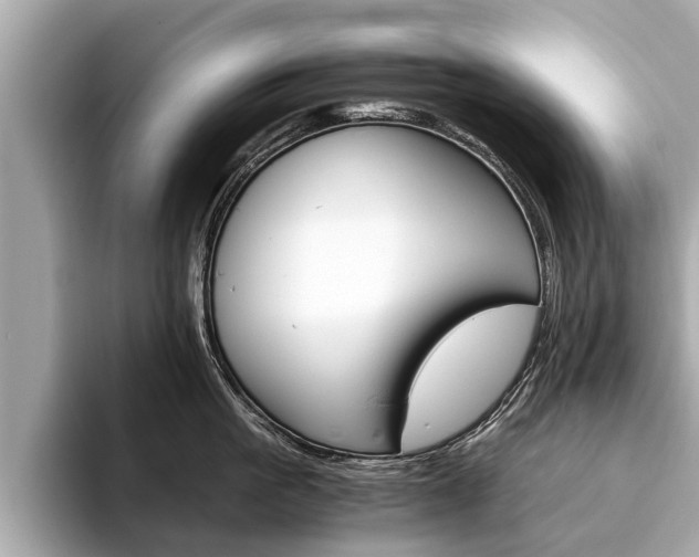 X0000094320861200711021111
