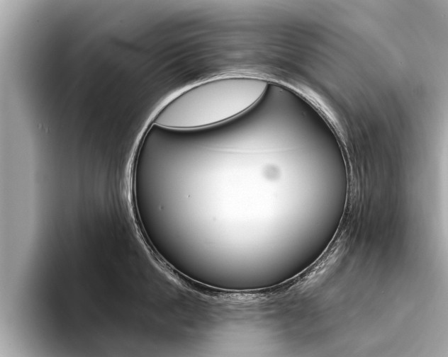 X0000094320862200711021111