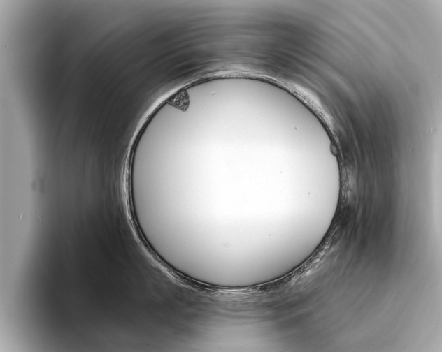 X0000094320863200711021111