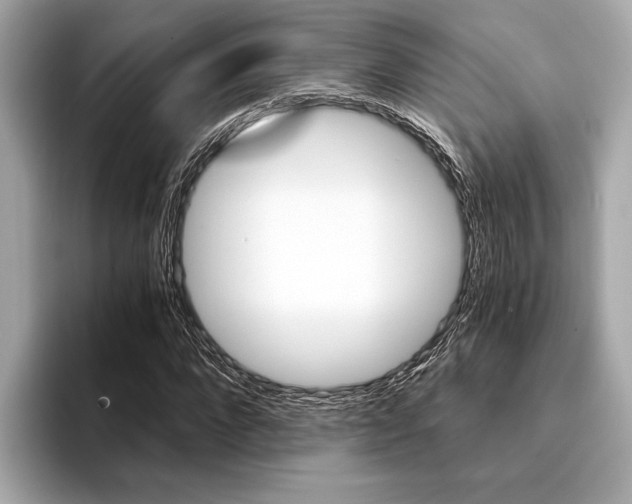 X0000094320872200711021111