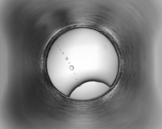 X0000094320875200711021111