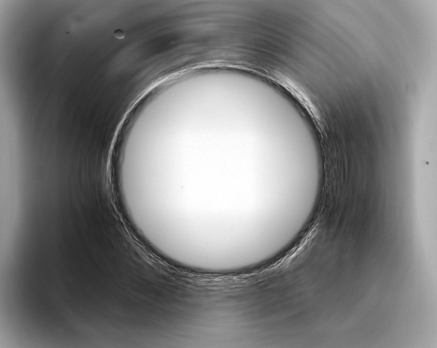 X0000094320876200711021111