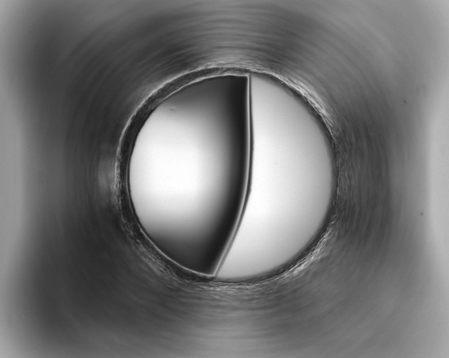 X0000094320880200711021111