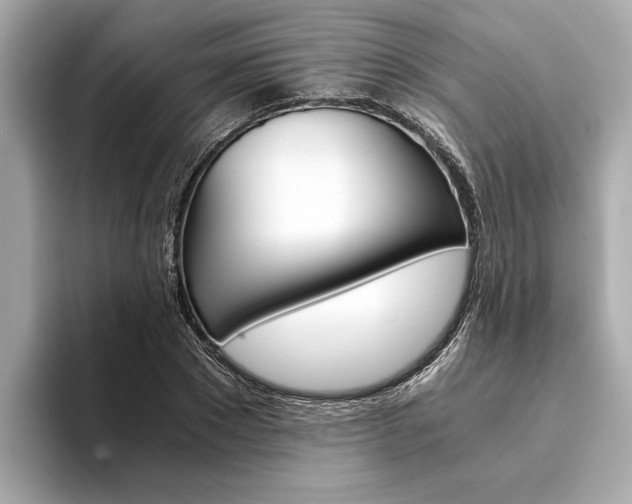 X0000094320881200711021111