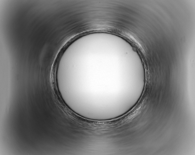 X0000094320883200711021111