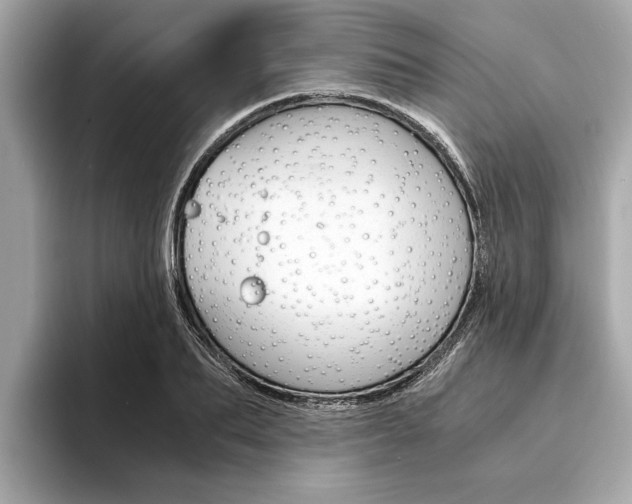 X0000094320887200711021111