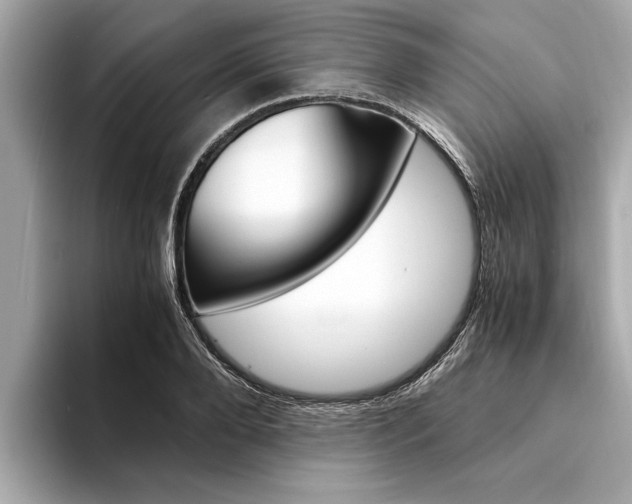 X0000094320888200711021111