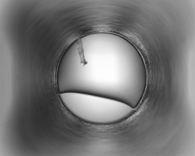 X0000094320889200711021111