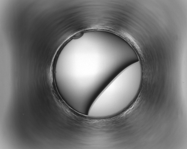X0000094320892200711021111