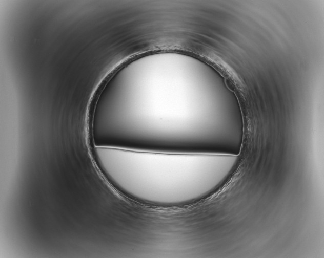 X0000094320894200711021111