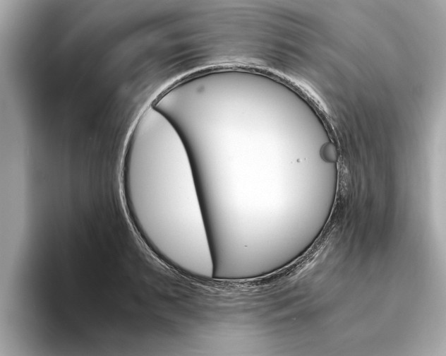 X0000094320895200711021111