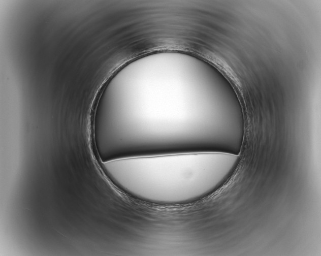X0000094320898200711021111