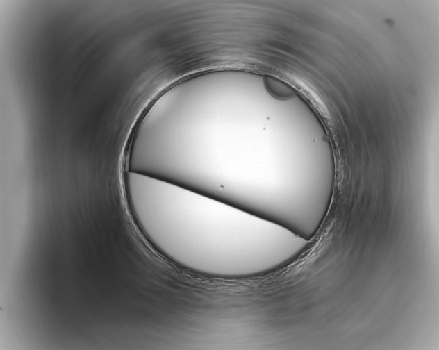 X0000094320899200711021111