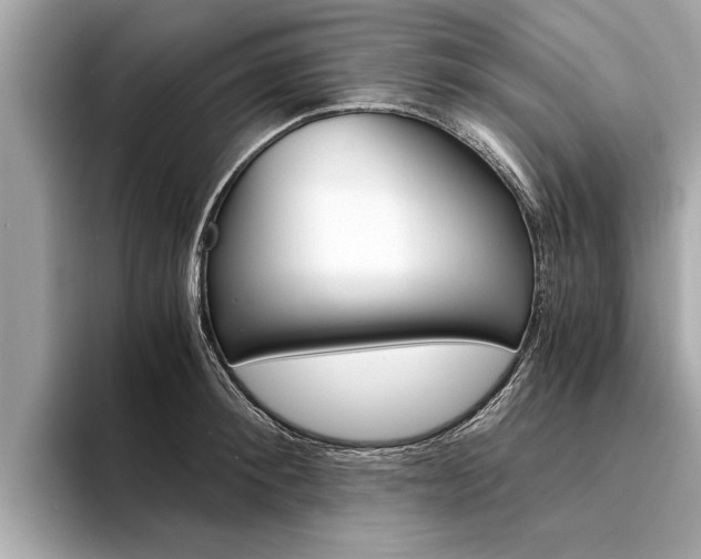 X0000094320900200711021111