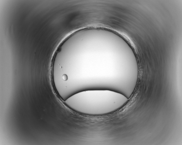 X0000094320903200711021110