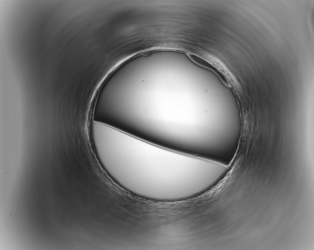 X0000094320908200711021110