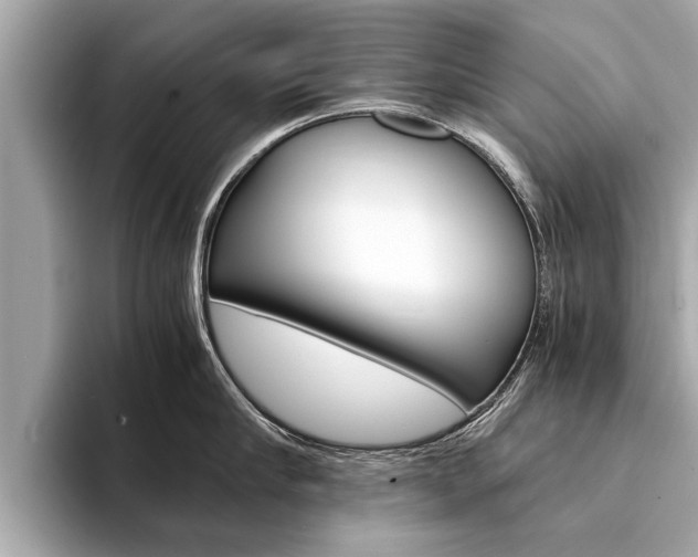 X0000094320910200711021110